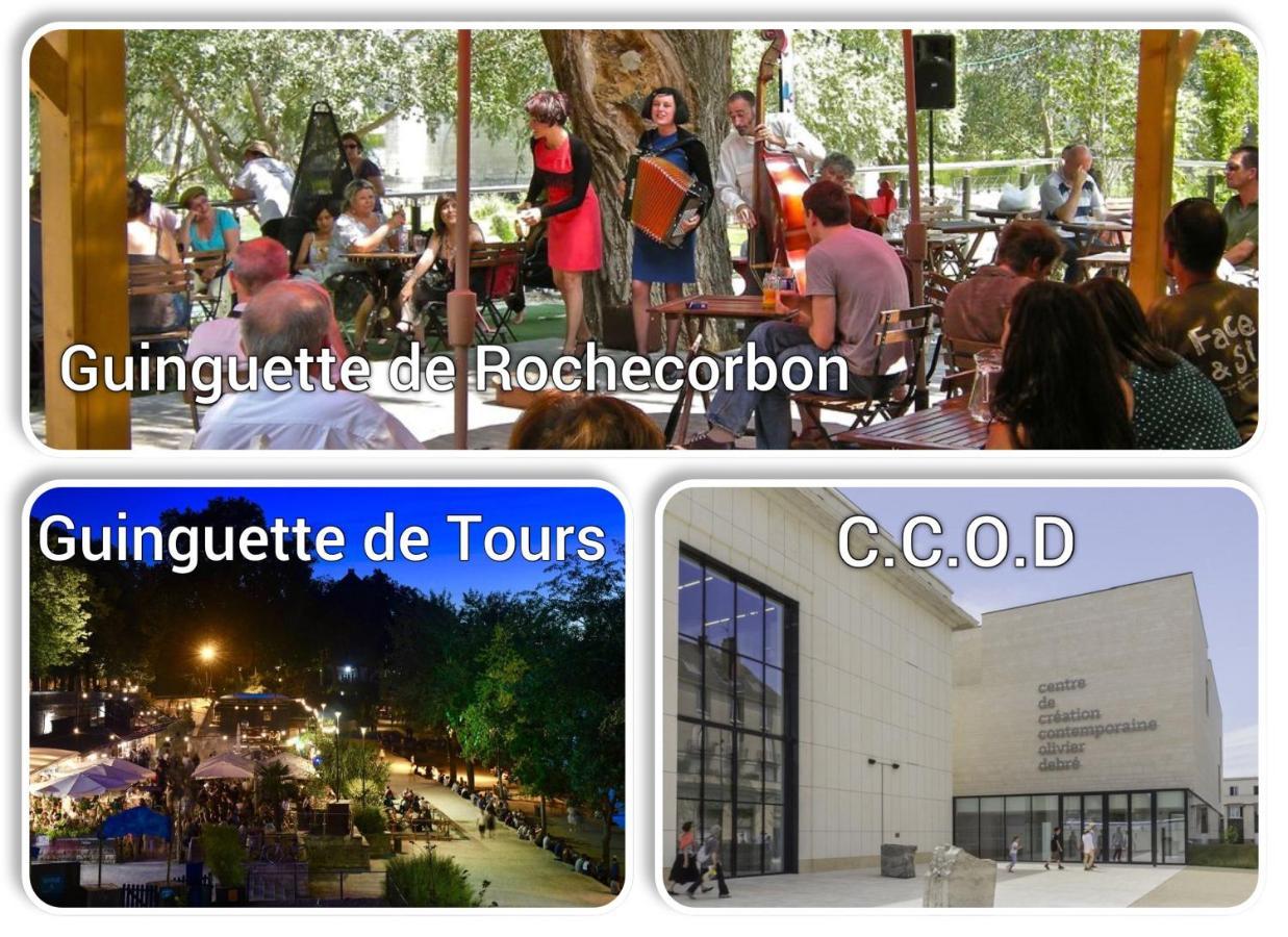 L'Intemporel - A 300M De La Gare De Tours Ngoại thất bức ảnh